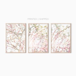 桜のウォールアート | プリント3枚セット | 印刷済みポスター