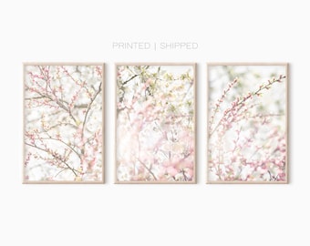 Cherry Blossom Wall Art | Set Of 3 Prints | Printed And Shipped Posters
