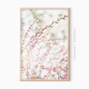 桜のプリント | ピンクの花のウォールアート | 春の写真 | プリントアート