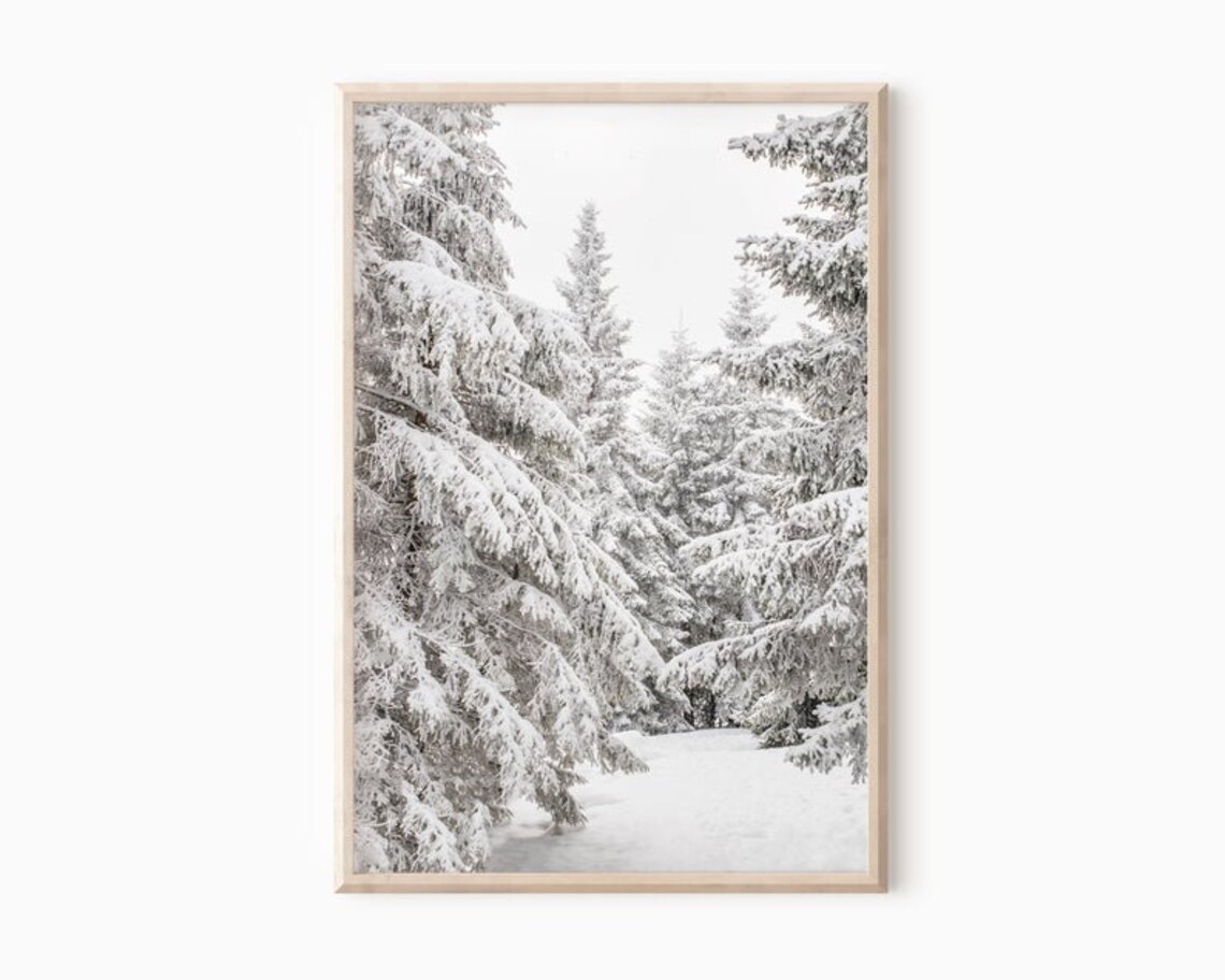 Snowy Pine Tree Forest Poster | Winter Wall Art | Christmas Decor ...