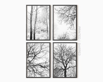 Forest Wall Art Set Of 4 Prints | Forest Gallery Wall Set | Black And White Photography | Modern Art Prints | Minimalist Wall Art