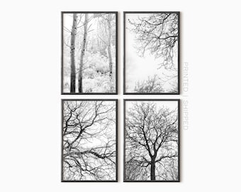Juego de 4 láminas de arte mural con temática de bosque / Conjunto de galería de arte mural con temática de bosque / Fotografía en blanco y negro / Láminas de arte moderno / Arte mural minimalista