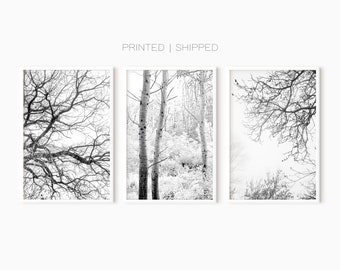 Black And White Set Of 3 Tree Prints | Modern Minimalist Photography Prints | Abstract Nature Art | Bare Tree Branches | Large Poster Set