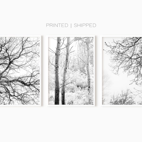 Abstract Nature Art Etsy