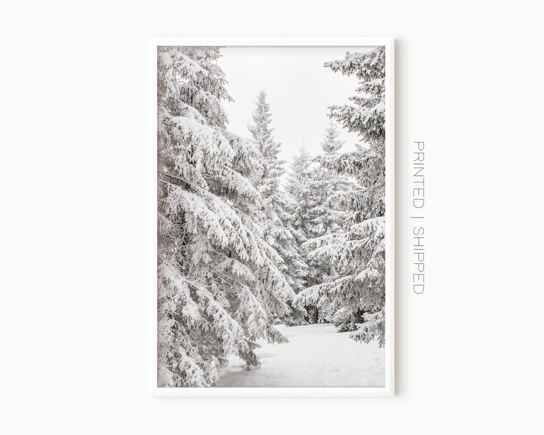 Snowy Pine Tree Forest Poster | Winter Wall Art | Christmas Decor ...