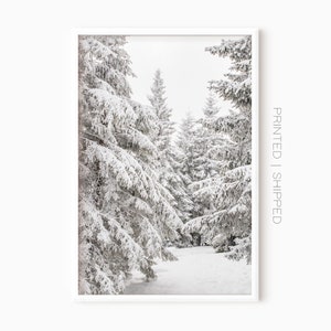 Snowy Pine Tree Forest Poster | Winter Wall Art | Christmas Decor | Snow Covered Trees | Winter Wonderland | Snow Photography