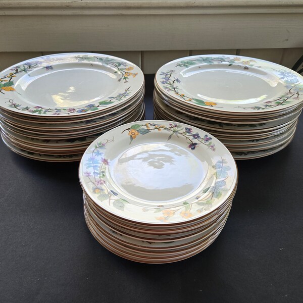 Vintage Woodhill China by Citation - Dinner Plates and Salad Plates