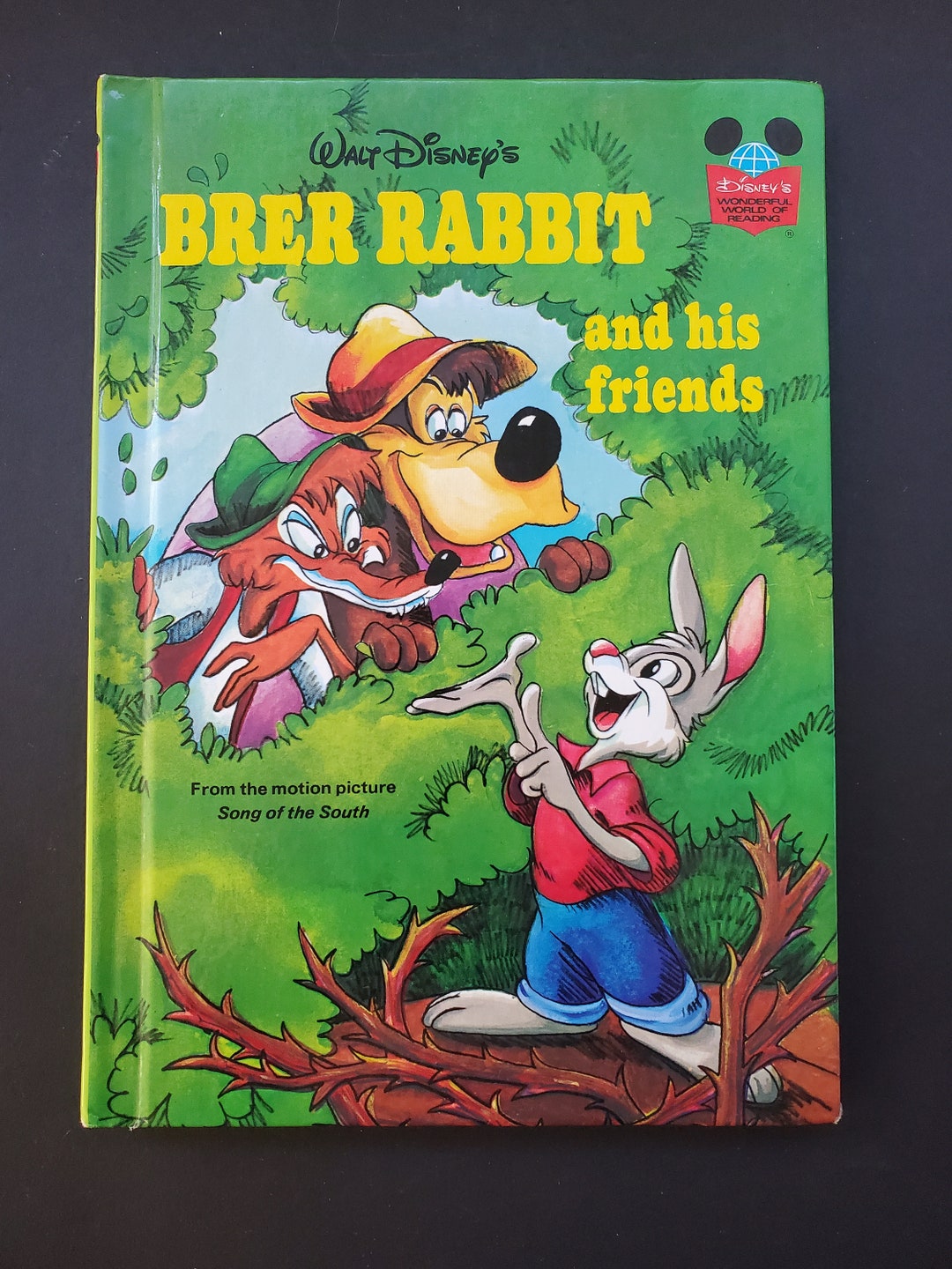 Walt Disney's Brer Rabbit and His Friends 1973 Hardback - Etsy