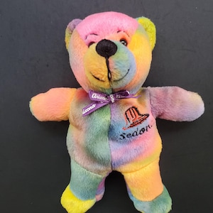 Vintage 2001 Symbolz Sedona Souvenir Tie Dye Beanie Bear