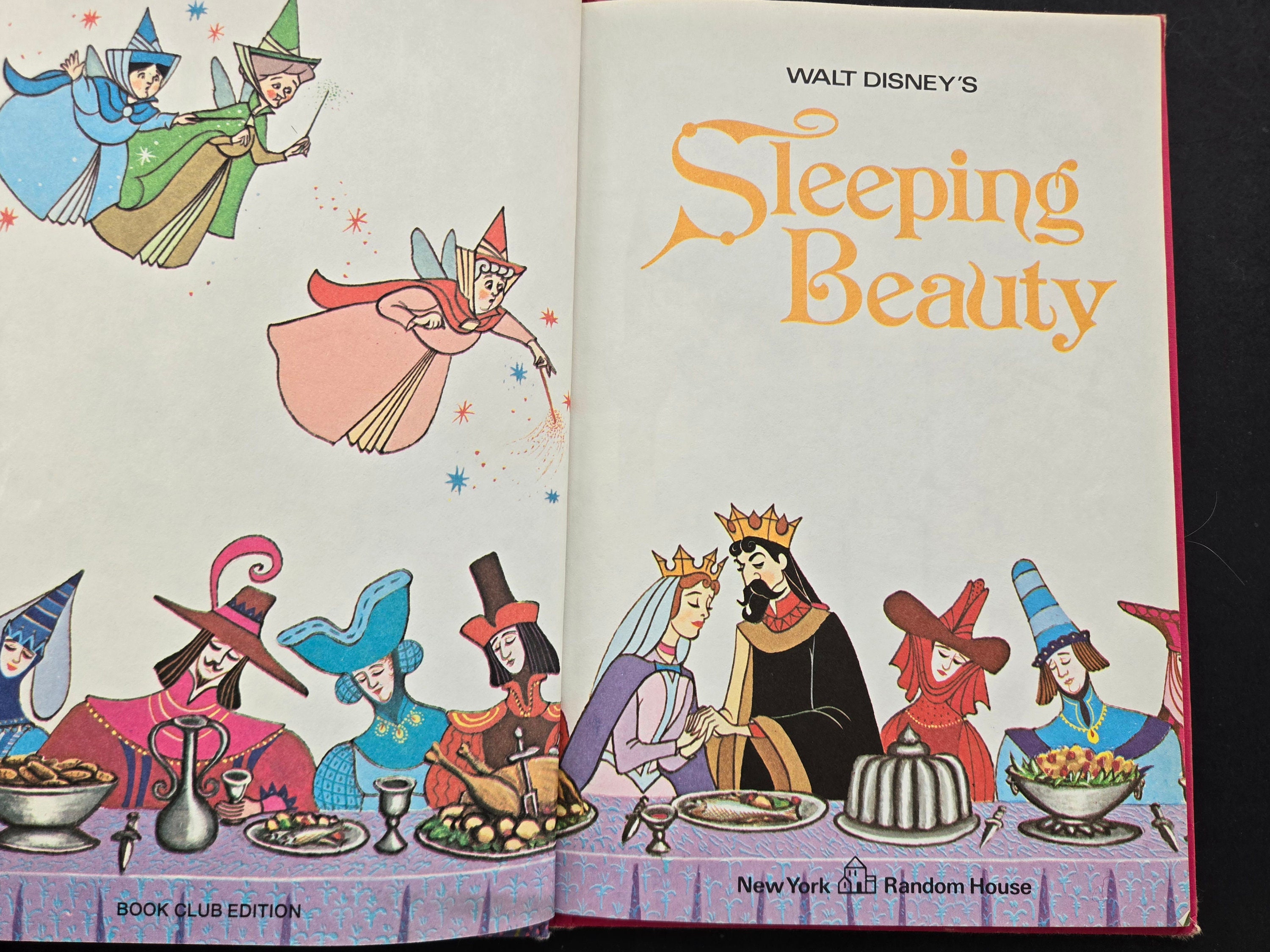 洋書 ハードカバー 眠れる森の美女他全12作品 洋書 ハードカバー