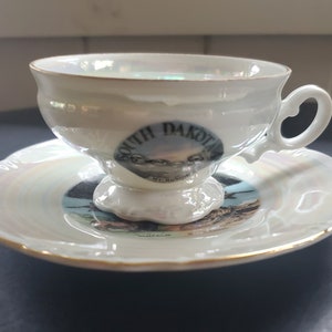 Vintage South Dakota Souvenir Lusterware Cup and Saucer