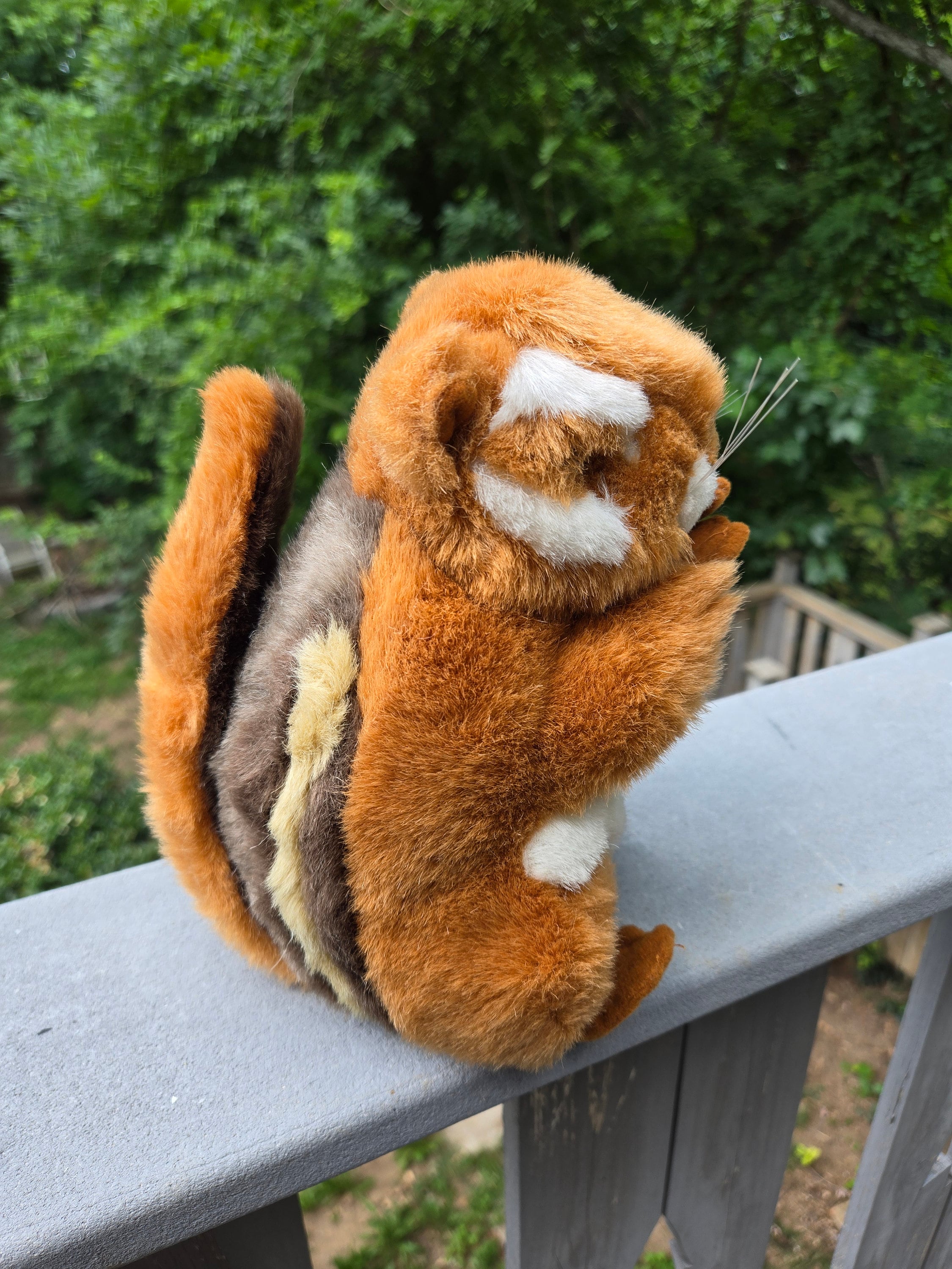 1994 Eastern Chipmunk from Smithsonian's Back Yard by Sound Prints