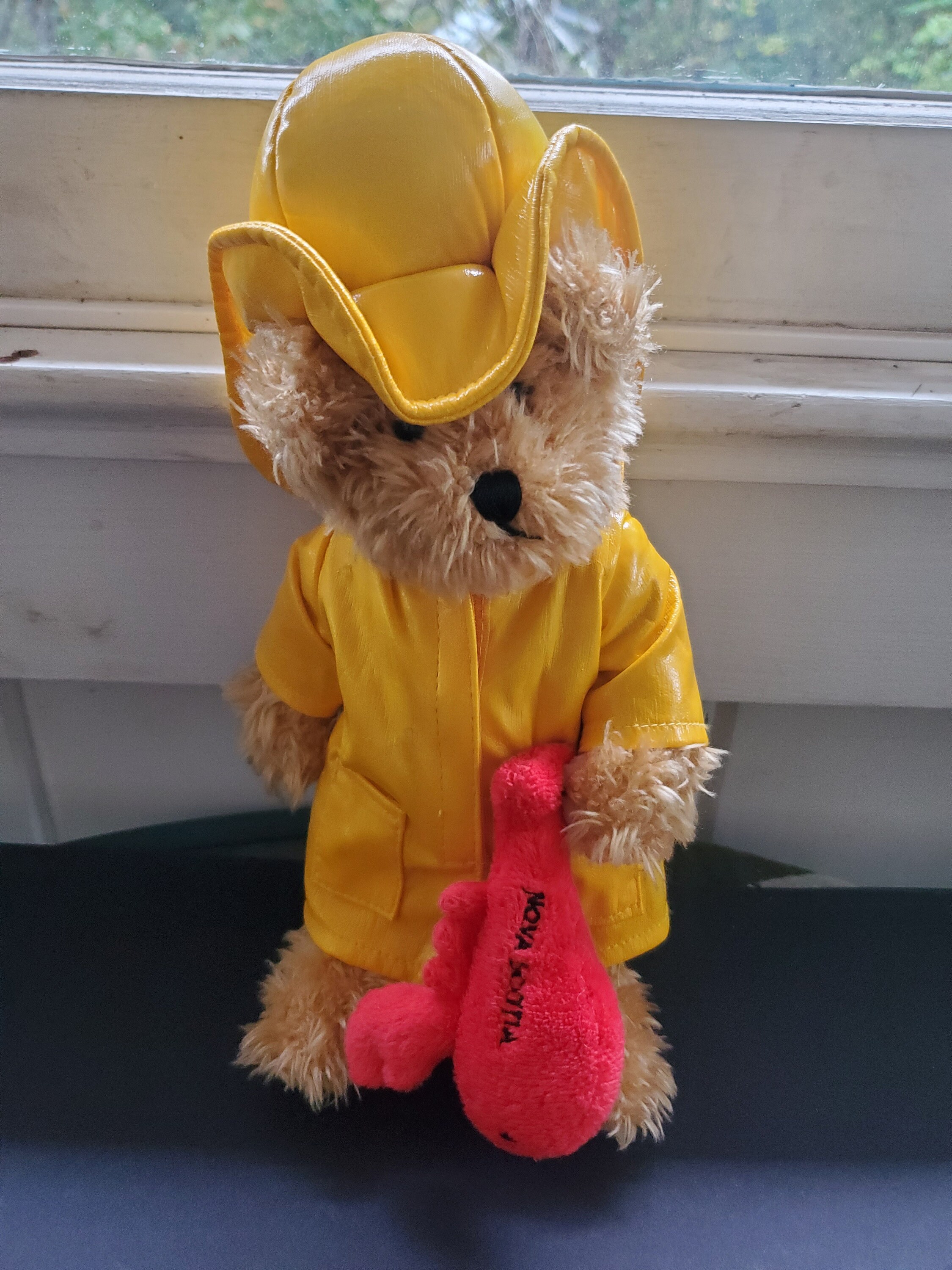 Bear yellow raincoat deals