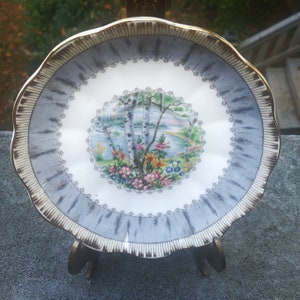1942 Royal Albert Silver Birch Pattern Bone China Saucer