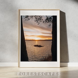 Saxe Point Park Print | Esquimalt - Victoria, BC | British Columbia Landscape Poster | Vancouver Island Art | Pacific Northwest Wall Art