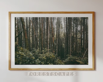 Ucluelet Forest Print | Pacific Northwest Landscape Photography