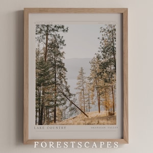 Op de afbeelding: Een ingelijste print van een boslandschap met hoge dennenbomen en uitzicht op een meer in de verte. De print heeft de tekst "LAKE COUNTRY" en "OKANAGAN VALLEY" onderaan. De print is getiteld "FORESTSCAPES".