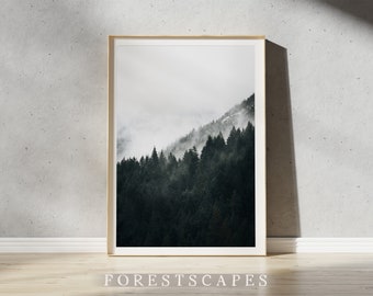 Squamish Forestscape Print | Sea to Sky Highway - British Columbia, Canada | Pacific Northwest Poster | Landscape Photography Wall Art IV