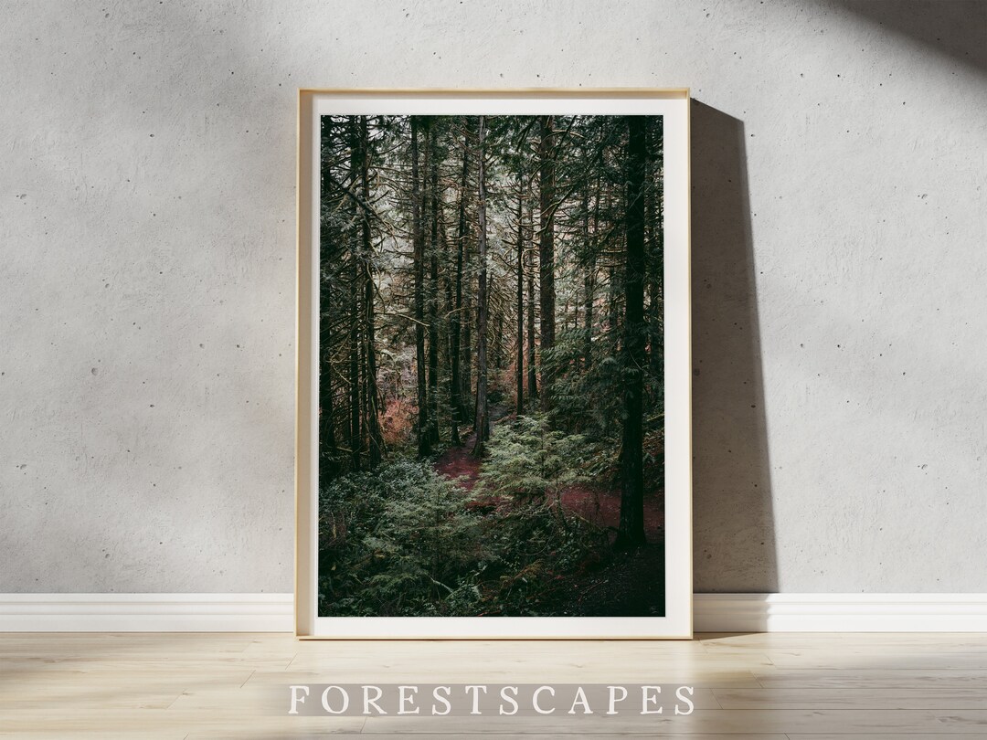 Victoria BC Forest Print Wall Art Vancouver Island British Etsy