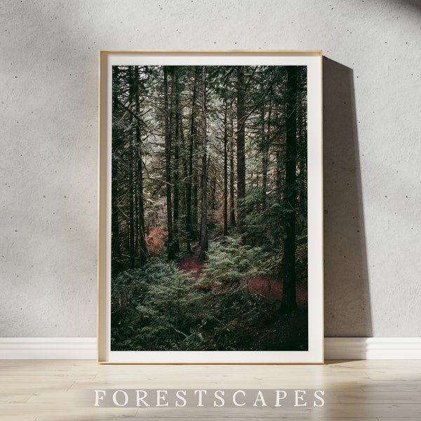 Victoria BC Forest Print Wall Art | Vancouver Island, British Columbia | Pacific Northwest Poster | PNW Forest Wall Decor | Landscape Photo