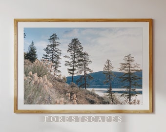 Impresión de flores silvestres de Okanagan II / Kelowna, Columbia Británica / Fotografía de paisajes para pared