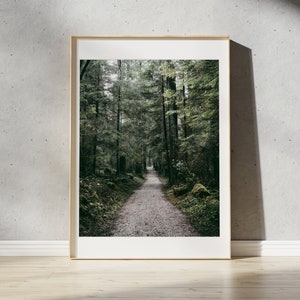 Stanley Park Print | Vancouver, British Columbia, Canada Poster | PNW Landscape Photography Wall Art | Pacific Northwest Forest Trail Photo