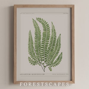 Poster 01 da samambaia vintage | Arte de parede com ilustração botânica | IMPRESSÃO PARA DOWNLOAD DIGITAL | Minimalista Rústico Adiantum Hispidulum | Avenca áspera