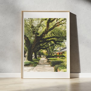 Garden District Streets Print | New Orleans, Louisiana | Landscape Travel Photography Wall Art
