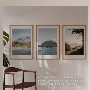 May include: Three framed prints of scenic landscapes from Tofino, Vancouver Island. The prints feature a misty forest, a mountain range with a seaplane, and a shoreline with a tree.