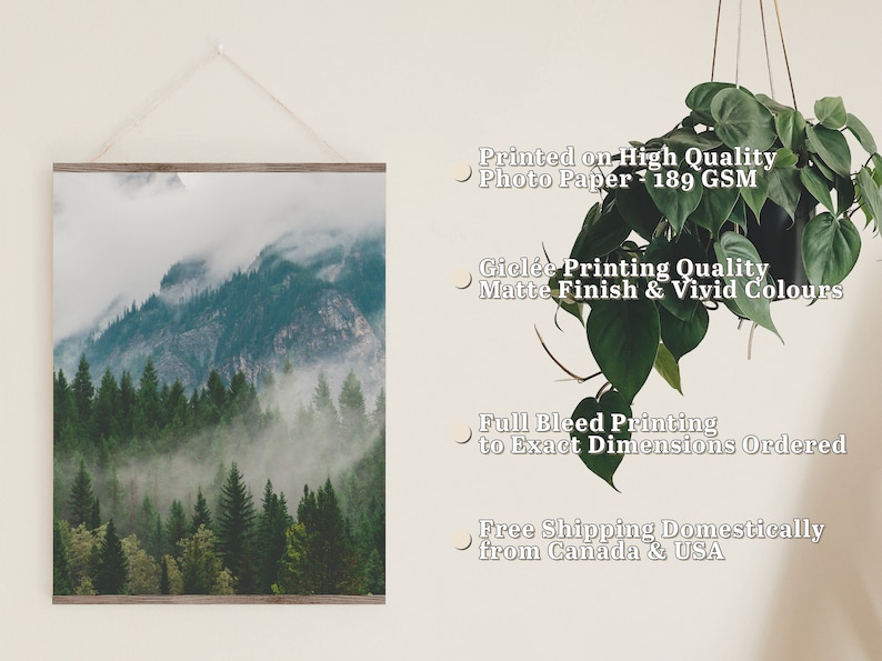 Impresión de niebla de Vancouver / Columbia Británica, Canadá / Arte mural de fotografía de paisajes / Montañas del Pacífico Noroeste / Fotografía de bosques melancólicos imagen 2