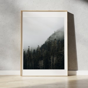 Tofino Fog Print | British Columbia, Canada | Landscape Photography Wall Art | Pacific Northwest Mountains | Moody Forest Photography