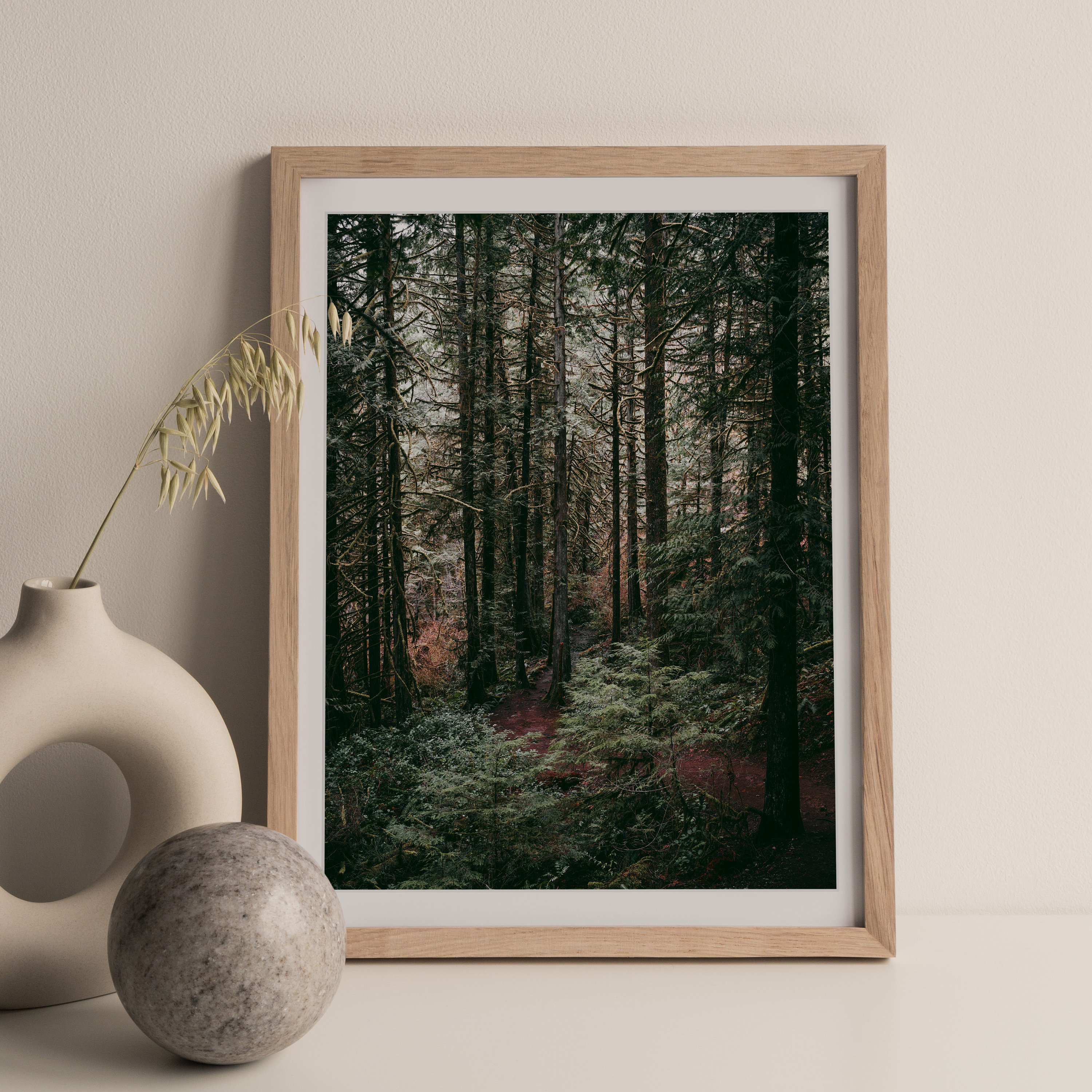 Victoria BC Forest Print Wall Art Vancouver Island British Etsy