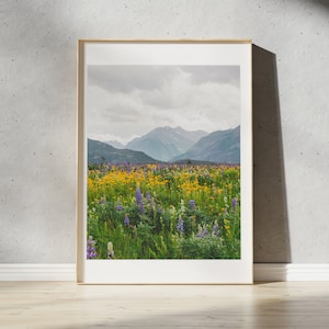 Waterton Wildflowers Print | Waterton Park, Alberta | Landscape Photography Wall Art