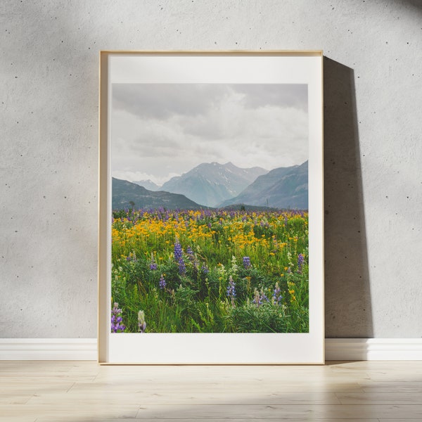 Waterton Wildflowers Print | Waterton Park, Alberta | Landscape Photography Wall Art