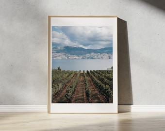 Okanagan Valley Vineyard Print | Kelowna Winery Landscape Photo