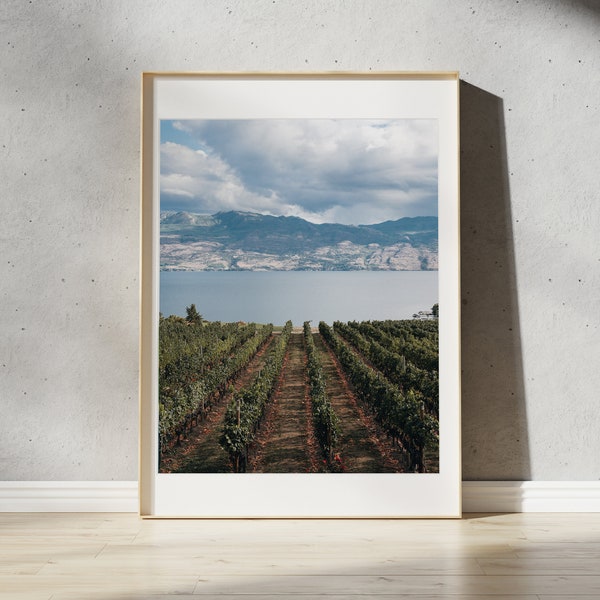 Okanagan Vines Print | Kelowna, British Columbia | Okanagan Valley & Lake Landscape | Nature Wall Art | Winery Photography