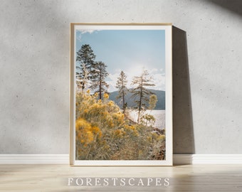 Impresión de flores silvestres de verano de Okanagan / Kelowna, Columbia Británica / Fotografía de paisajes / Decoración de pared natural