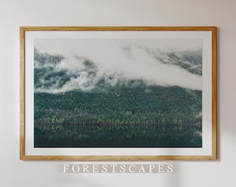 Tofino Forest Art Print | Vancouver Island Landscape Photography