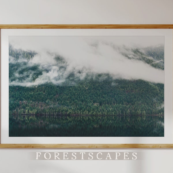 Tofino Forest Print | Vancouver Island Print, British Columbia Art, Pacific Northwest Wall Art, PNW Photograph, Landscape Photography