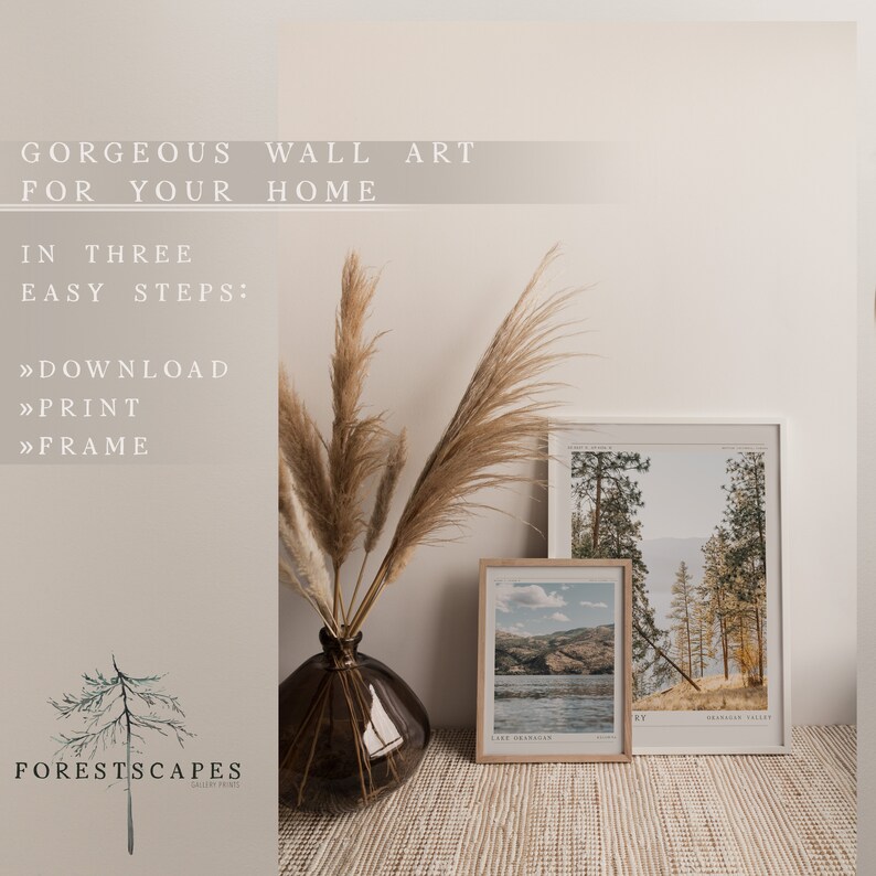 Op de afbeelding: Twee ingelijste landschapsfoto's van bomen en een meer, met een vaas met gedroogd pampasgras ervoor. De tekst "FORESTSCAPES GALLERY PRINTS" staat in de linkerbenedenhoek. De tekst "LAKE CHELAN" staat in de linkerbenedenhoek van een van de foto's. De tekst "SHANGRILA VALLEY" staat in de rechterbenedenhoek van de andere foto.