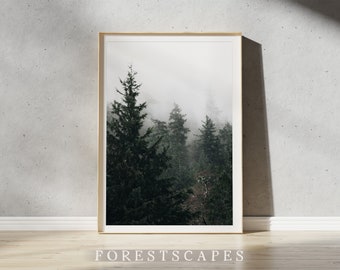 Impresión fotográfica del bosque de Squamish / Arte mural con paisaje del noroeste del Pacífico