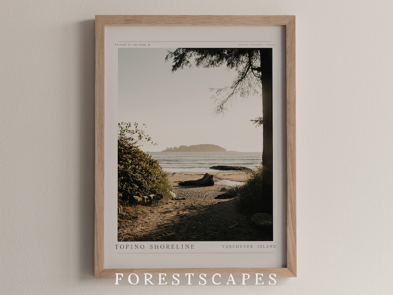 May include: A framed photograph of a beach scene with a wooden path leading to the water. The photo is titled "Tofino Shoreline, Vancouver Island" and is part of a collection called "Forestscapes".