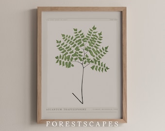 Impresión botánica vintage de helecho / Arte de culantrillo de diamante (descarga digital)