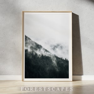 Squamish Forestscape Print | Sea to Sky Highway - British Columbia, Canada | Pacific Northwest Poster | Landscape Photography Wall Art II