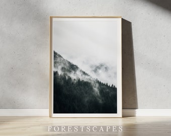 Impresión de paisaje forestal de Squamish / Fotografía de paisajes de Columbia Británica