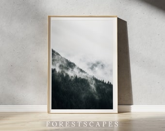 Squamish Forestscape Print | Sea to Sky Highway - British Columbia, Canada | Pacific Northwest Poster | Landscape Photography Wall Art II