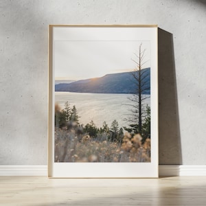 Okanagan Wildflowers Print | Kelowna, British Columbia | Landscape Photography Wall Art