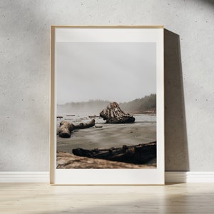 Tofino Vancouver Island Print | British Columbia, Canada | PNW Photography Pacific Northwest Driftwood | Fine Art Landscape Photography