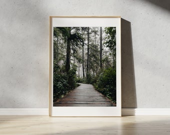 Regenwald Trail Tofino Print | Pacific Rim Nationalpark, British Columbia | Tofino Kunst | Ucluelet Wandkunst | Pazifik Nordwest Landschaft |