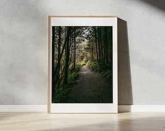 Pacific Northwest Forest Print | Vancouver Island Landscape Photography